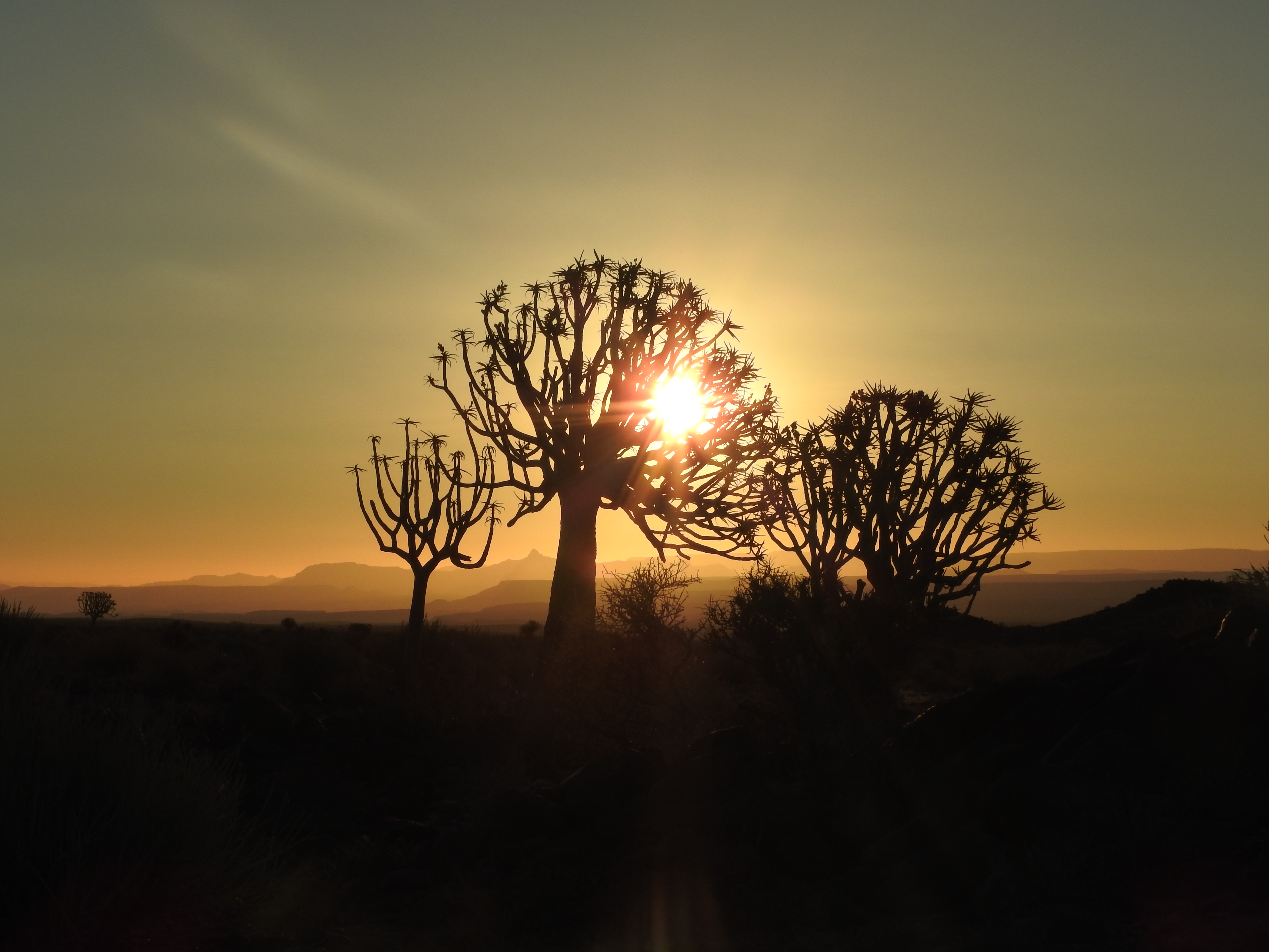 Namibia