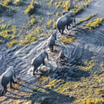 Botswana > Okavango Delta > Flugsafari Botswana / fotocredit: shutterstock_591164012